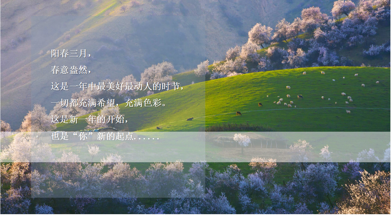 2021地产项目春天草地野餐活动策划方案【春季活动】【户外】.ppt 第2页