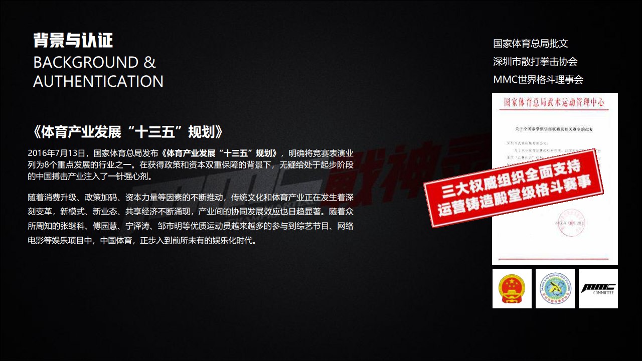 2018&ldquo;格斗少女&rdquo;MMC战神录美陈活动策划案【动漫】【活动策划】.pdf 第3页