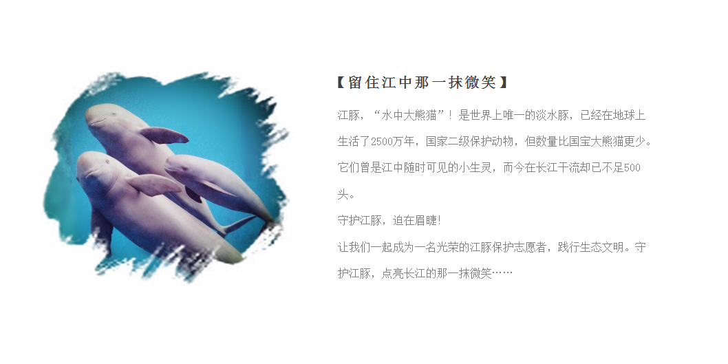 2019红豆置业环湖公益跑活动方案建议【地产】【活动策划】.pptx 第2页