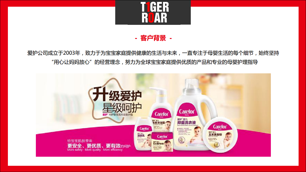 2018爱护2018女王V5红人大赛五维营销【快消品】【创意营销】.pdf 第2页