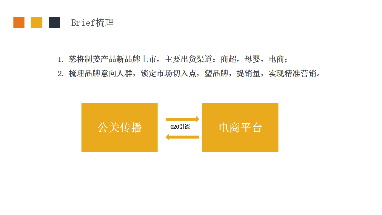 2019慈将制姜百度营销传播建议【电商】【保健品】.pptx 第2页