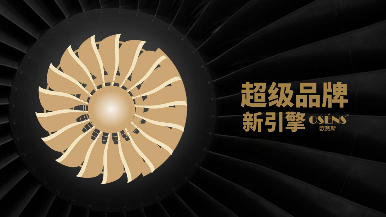 2020年中国领导教育营地品牌狐巴巴战略规划及整合营销传播方案【教育】【品牌推广】【VI】.pdf 第2页