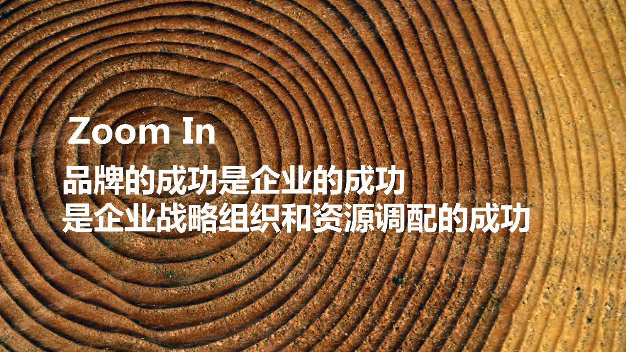 2020年中国领导教育营地品牌狐巴巴战略规划及整合营销传播方案【教育】【品牌推广】【VI】.pdf 第3页
