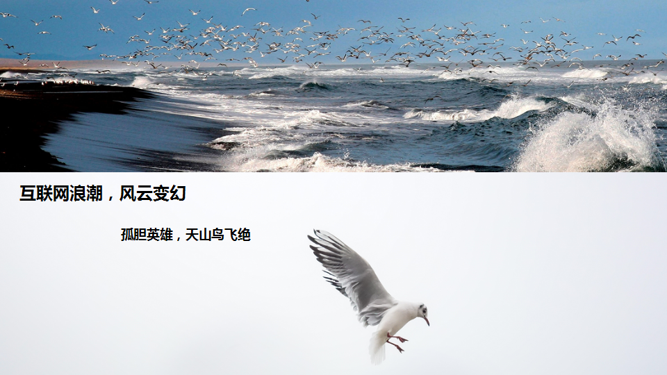 2017魅族客户答谢宴策划方案【手机】【活动策划】.pptx 第2页