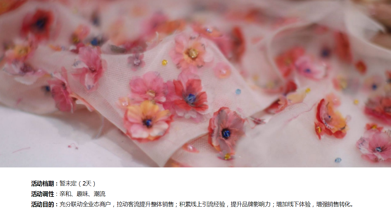 2018海南生生国际时装发布会活动推荐案【服装】【活动策划】.pptx 第2页
