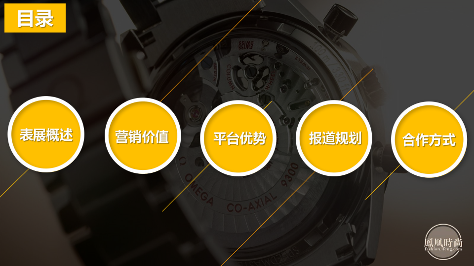 2017巴塞尔钟表展【招商方案】.pdf 第2页