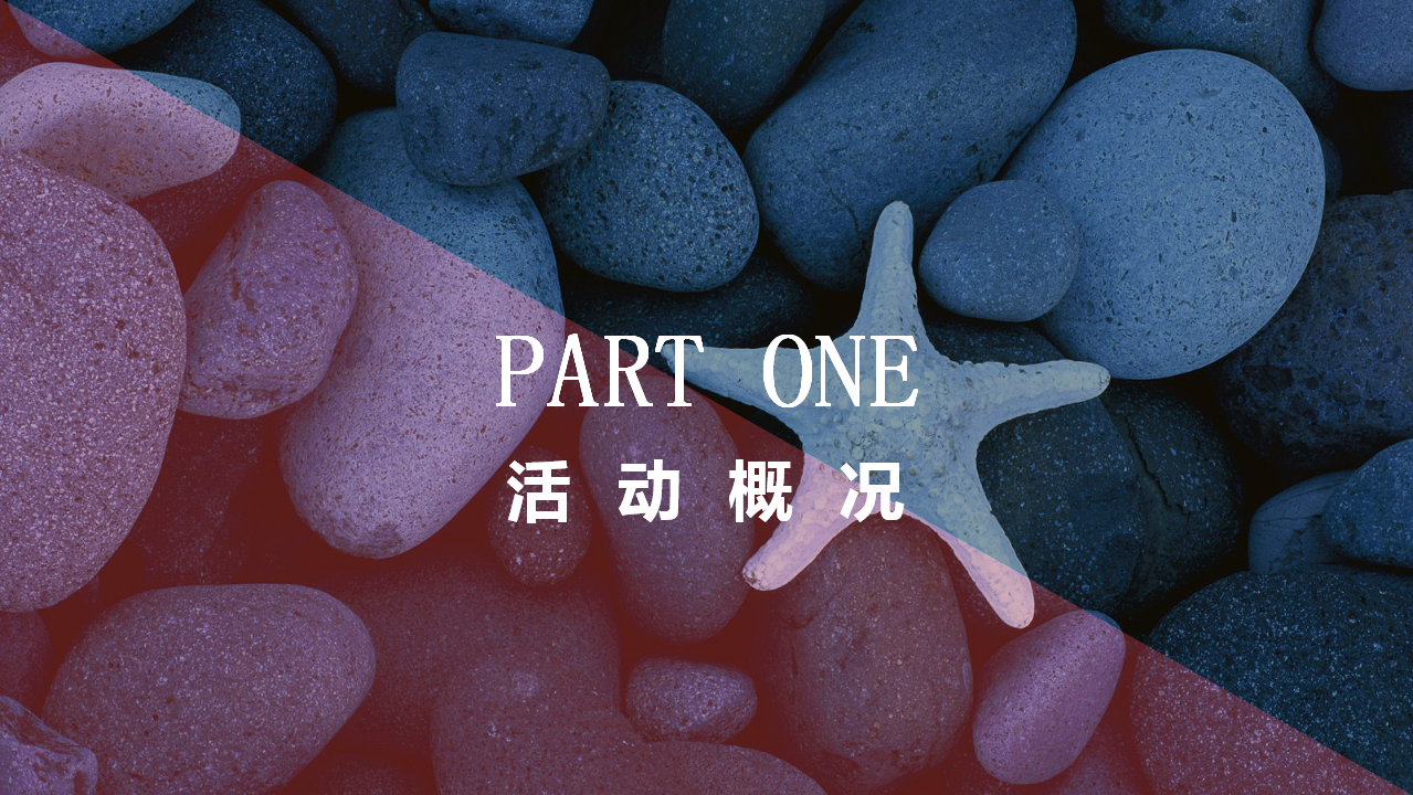 2018澳美&middot;海洋时光第四届全国美容院精英学习分享会活动策划方案【美容】【公开活动】.pptx 第3页