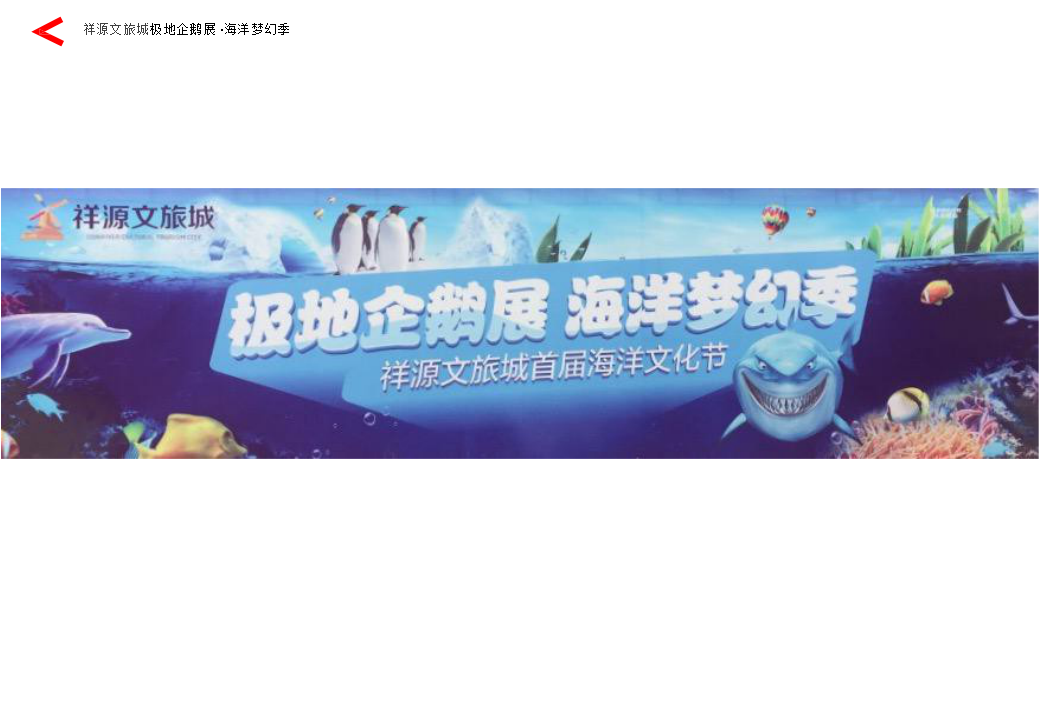 2017祥源文旅城极地企鹅展海洋梦幻季活动策划案【地产】【活动策划】.pptx 第2页