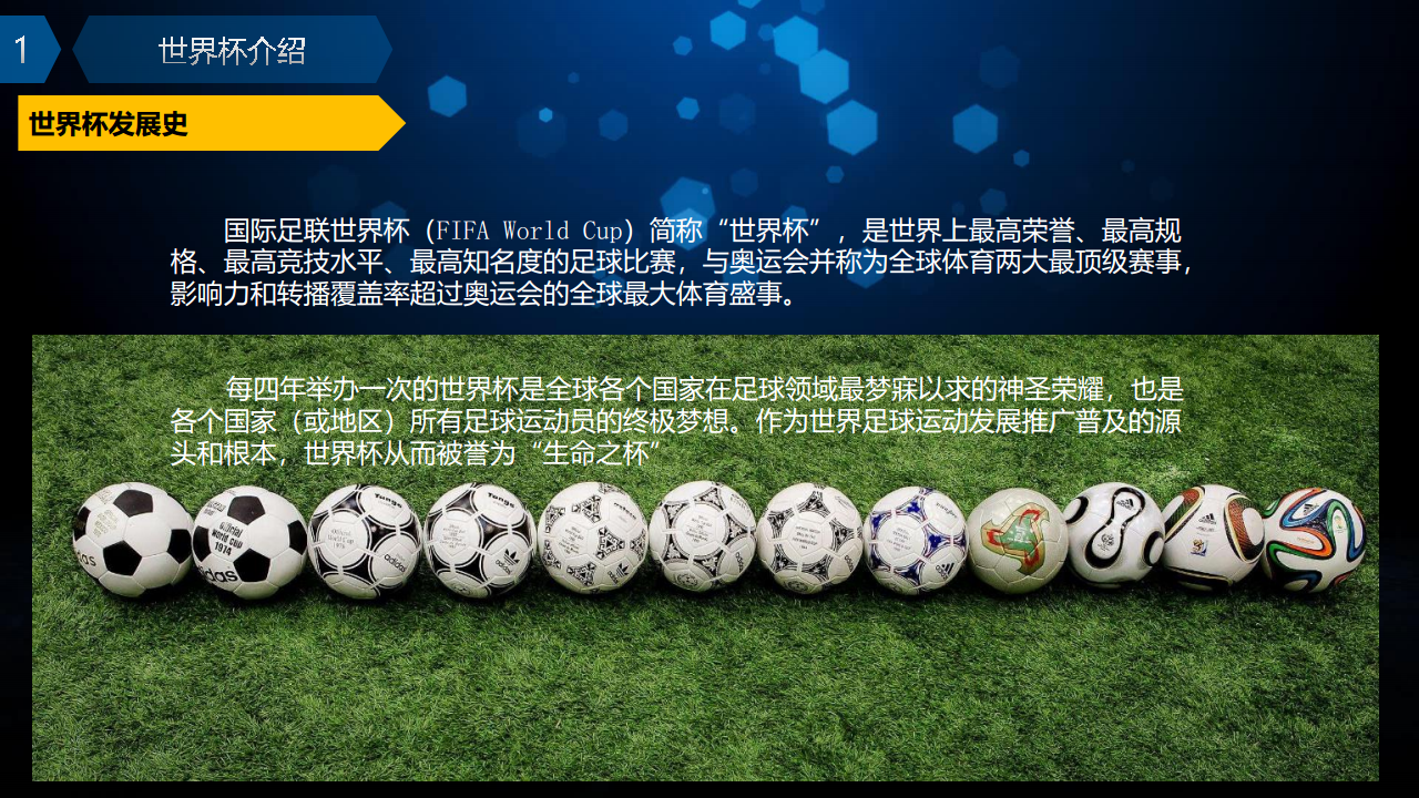 2018世界杯-活动招商方案【足球】【招商方案】.pdf 第3页