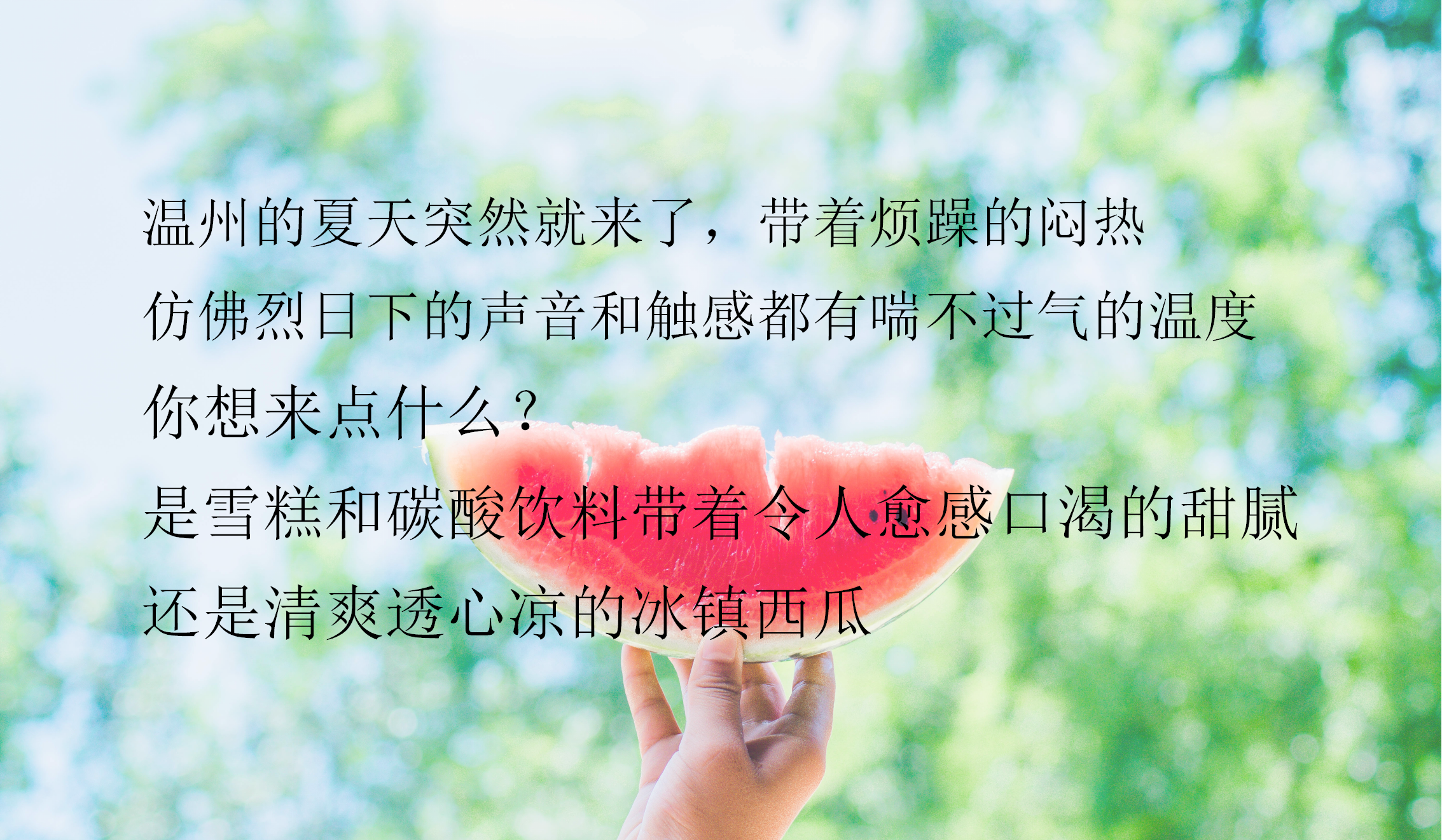 2019国鸿&middot;中央城西瓜狂欢节主题活动策划案【房地产】【夏日活动】.pptx 第2页