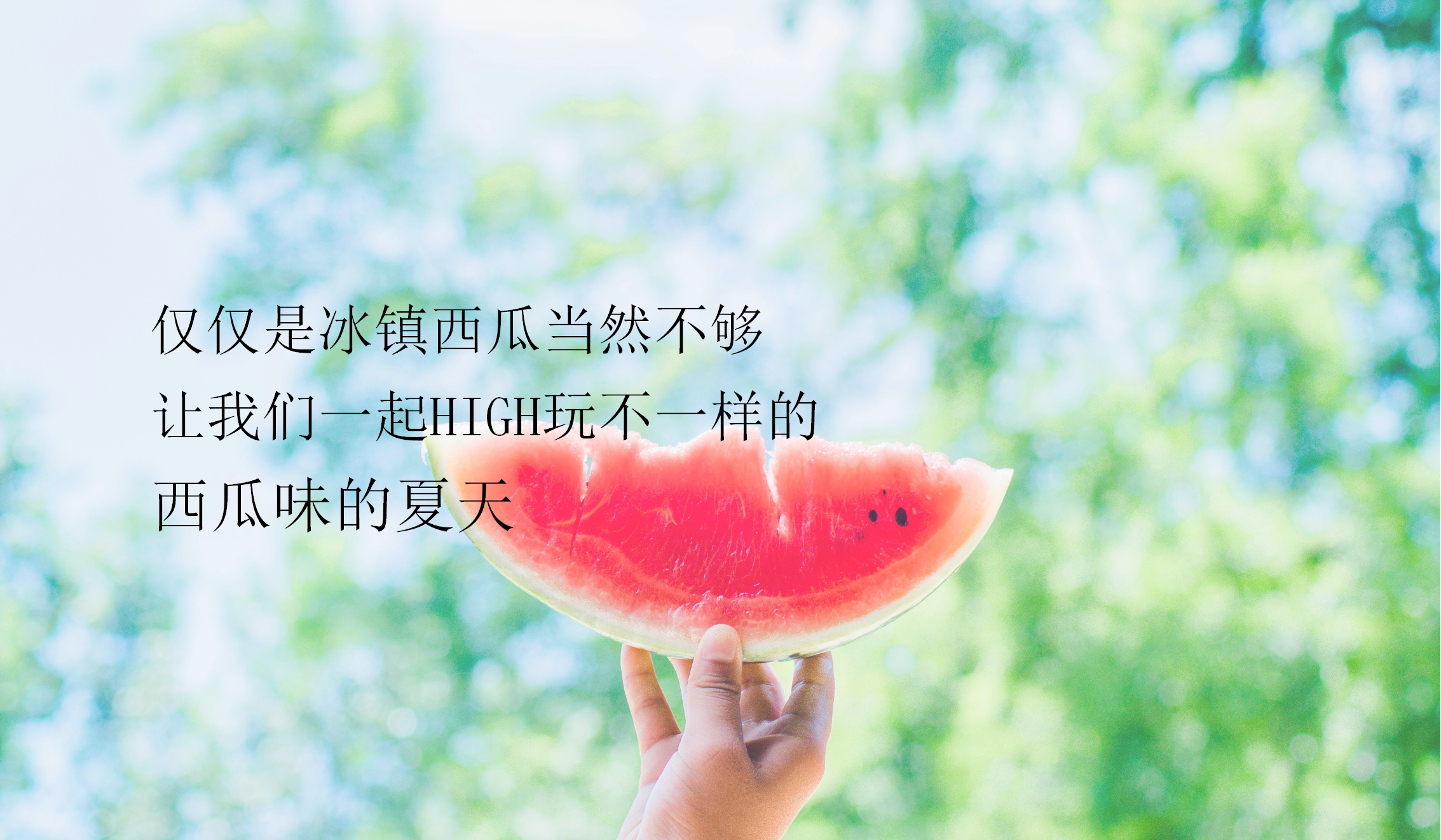 2019国鸿&middot;中央城西瓜狂欢节主题活动策划案【房地产】【夏日活动】.pptx 第3页