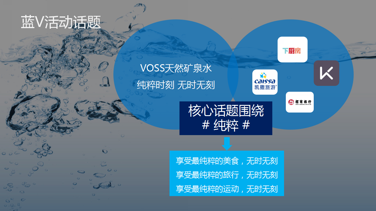 2018VOSS天然矿泉水上市蓝V大行动执行方案【快消零售】【KOL推广】.pptx 第3页