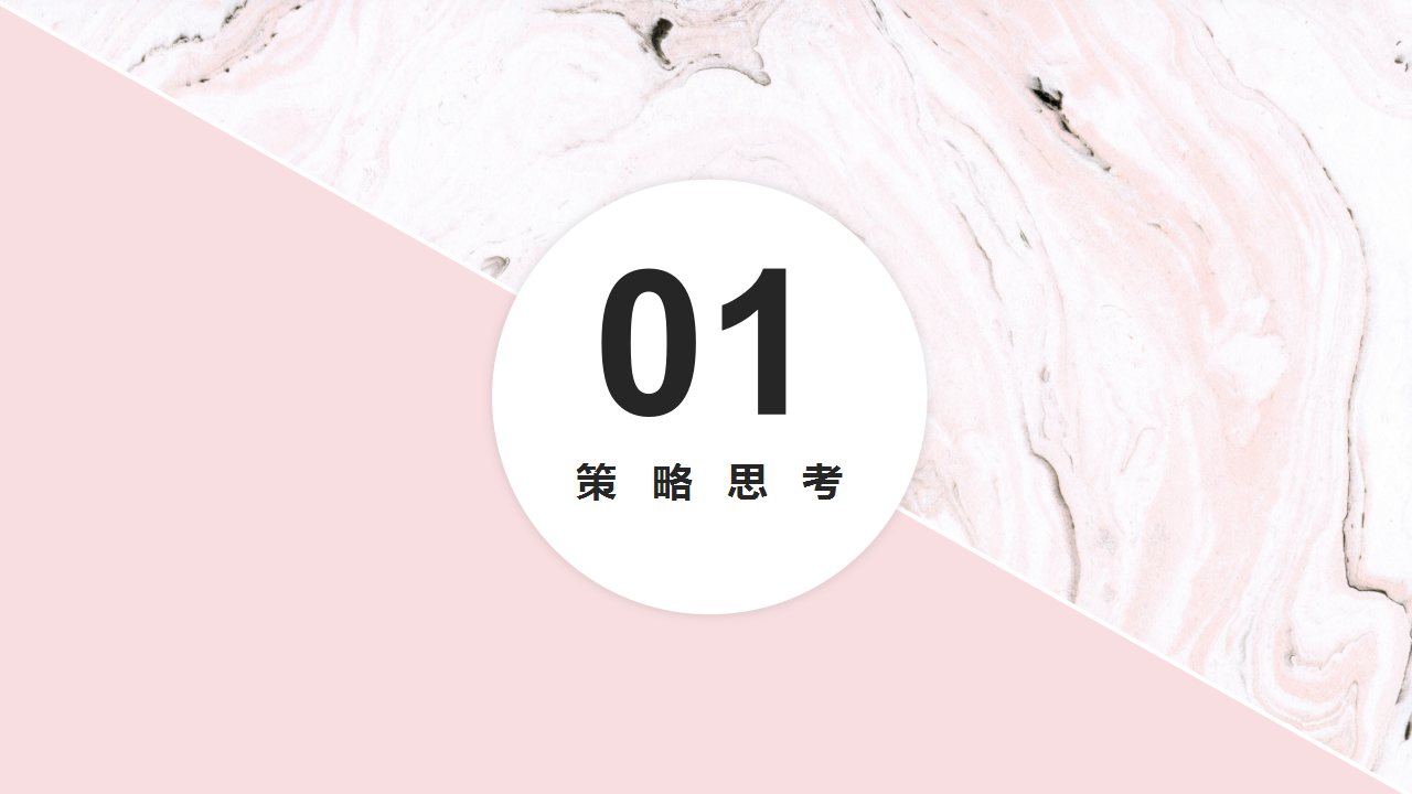 2018佰草集花色系列推广传播方案【美妆护肤】【新品推广】.pptx 第3页