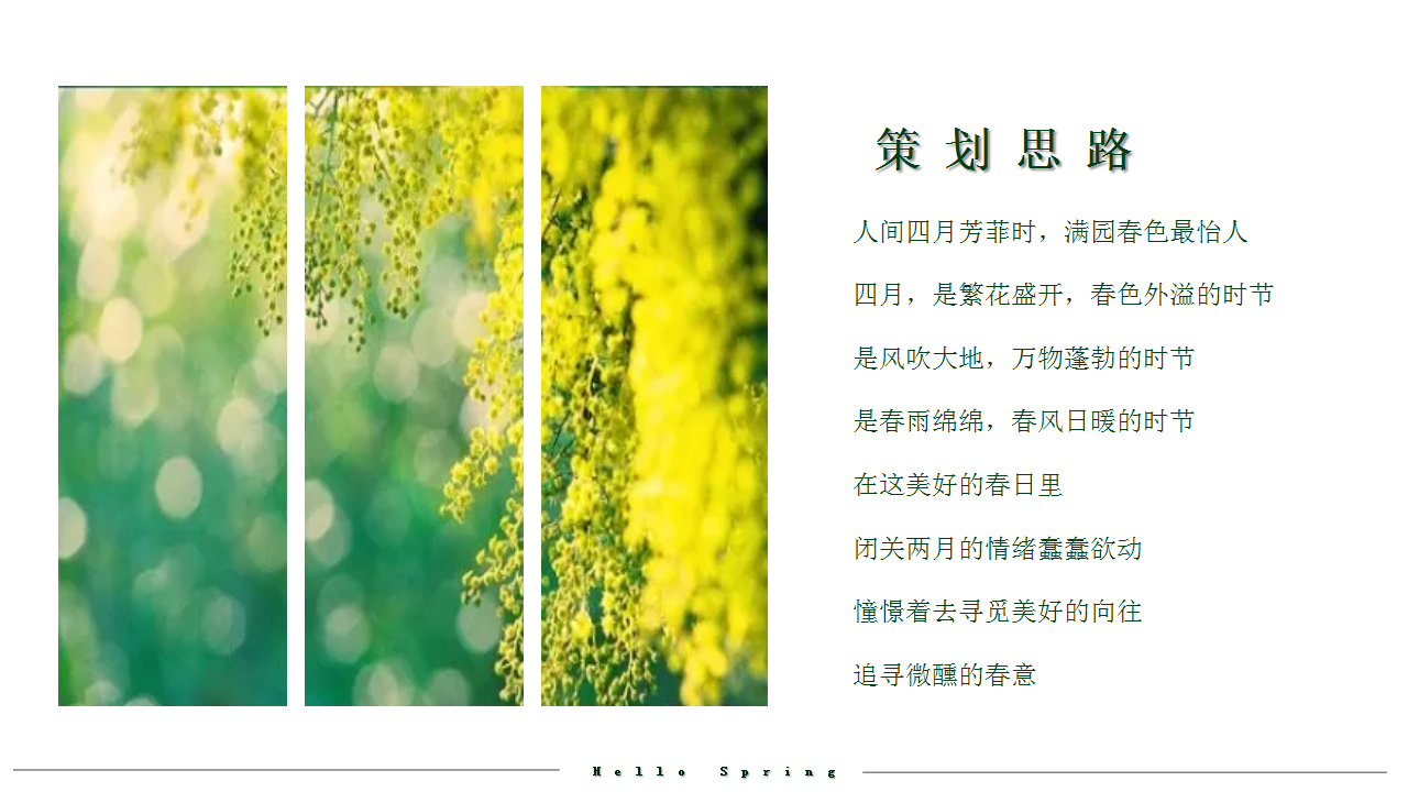 2020春季暖场系列&ldquo;邂逅星城四月天&rdquo;活动策划方案【春季活动】.pptx 第2页
