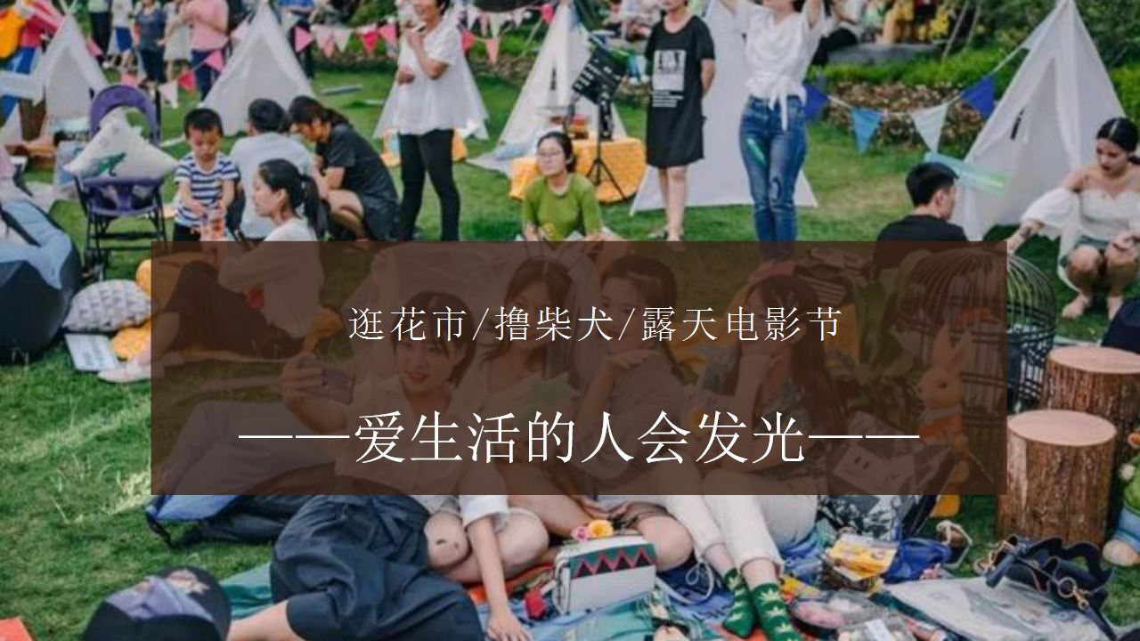 2020印象秋市美好生活文化节系列活动策划方案【秋季活动】.pptx 第2页