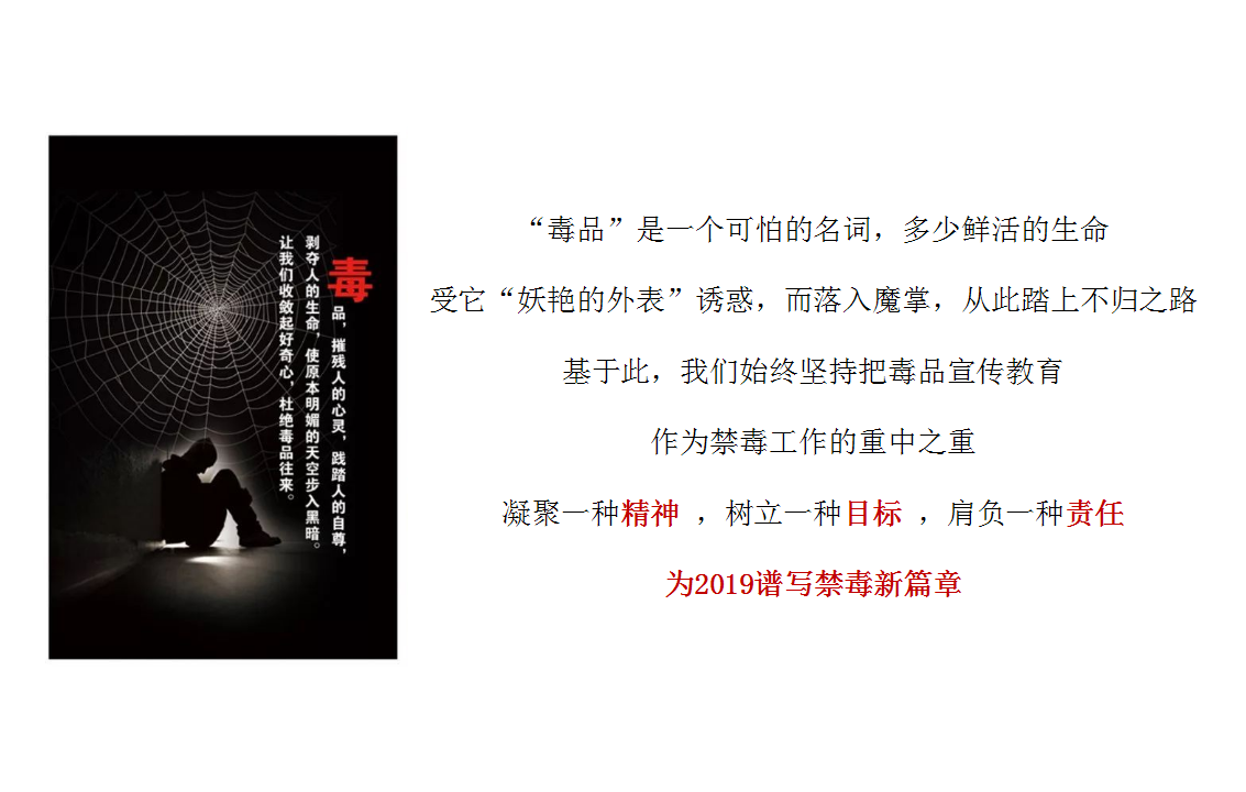 2019禁毒宣传活动策划方案【活动策划】.pptx 第2页