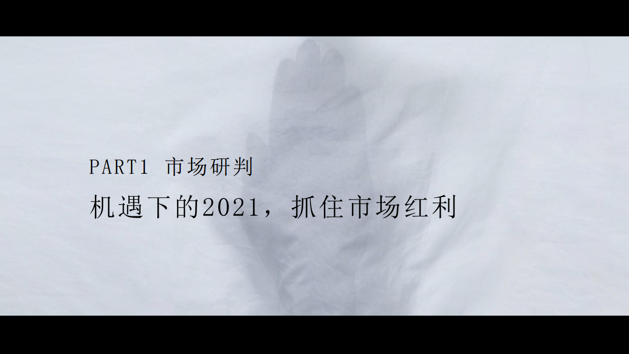 2021商业广场上半年活动规划方案【活动计划】.pdf 第3页