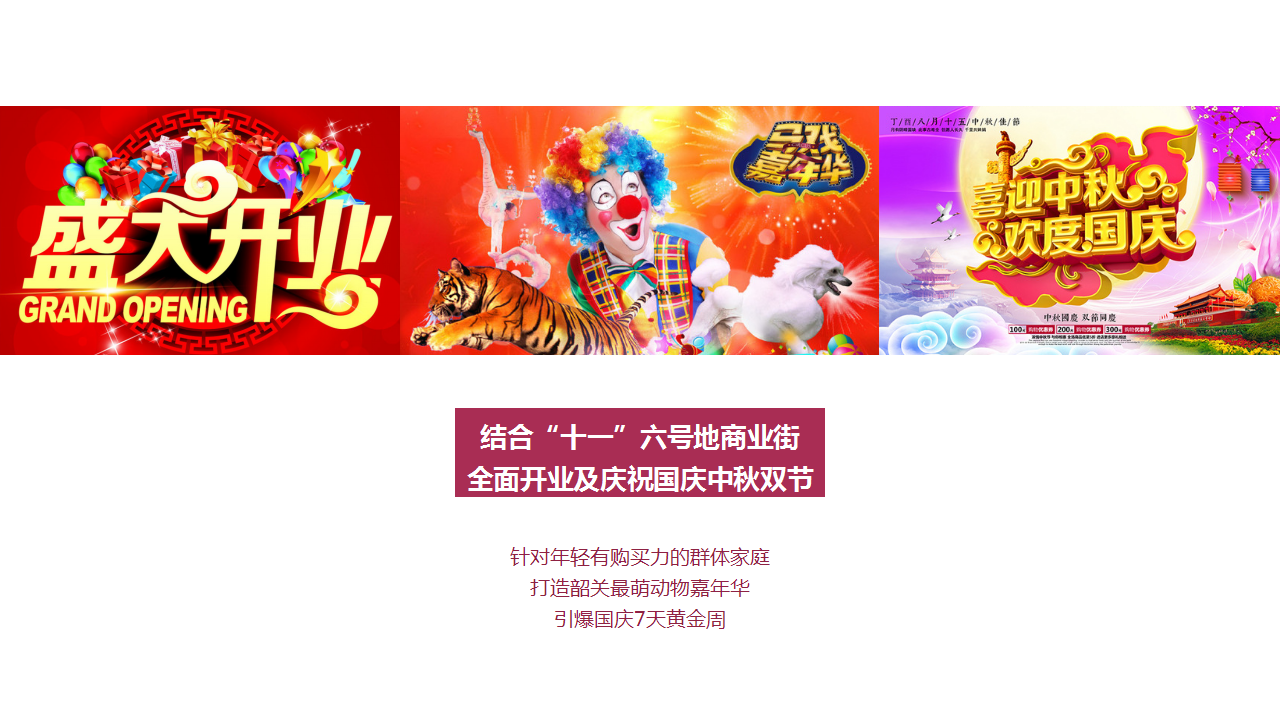 2018年奥园文化旅游城商业街开业国庆萌宠嘉年华方案【旅游】【节庆策划】.pptx 第2页