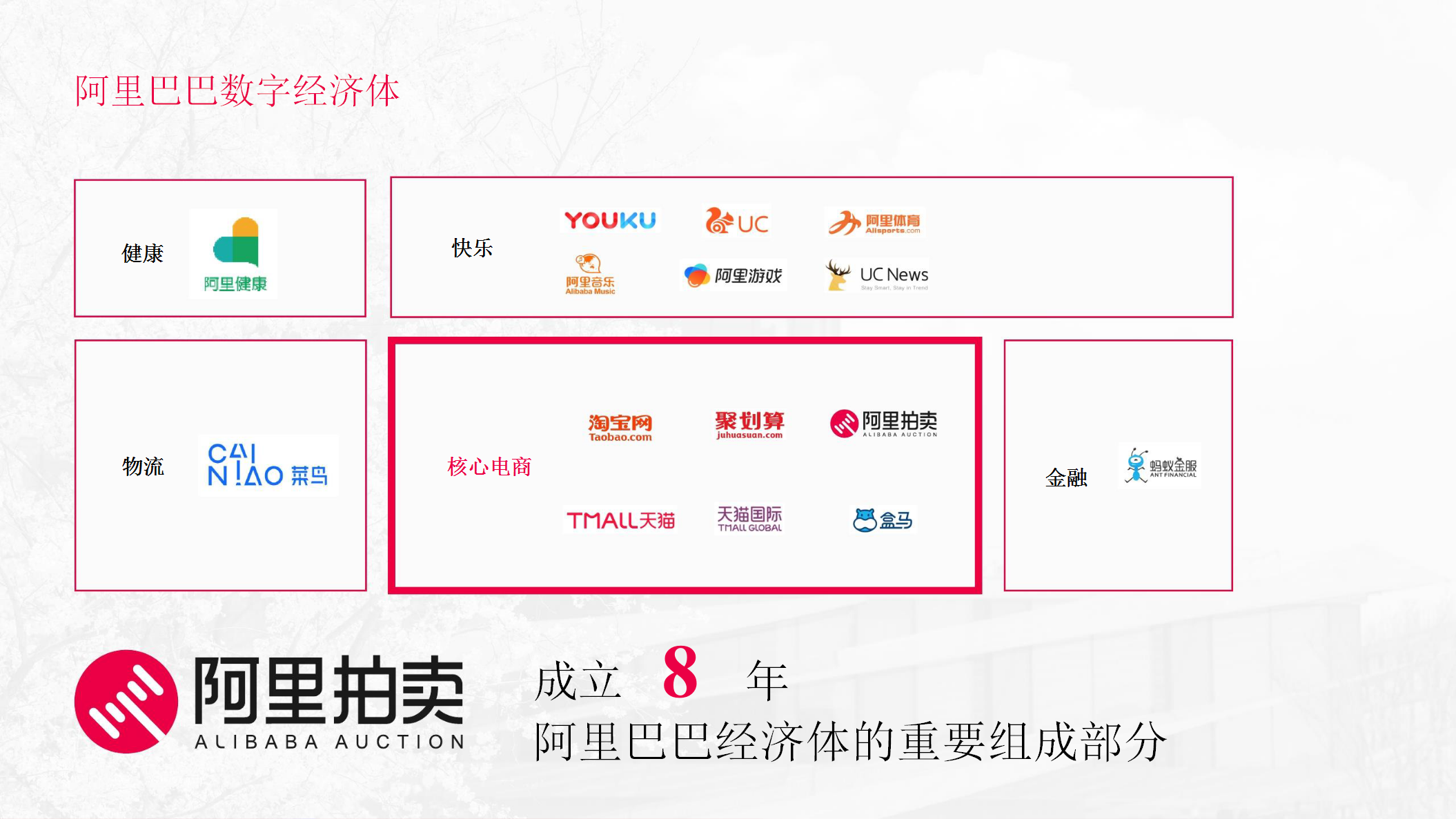 2020大湾区520阿里全球拍卖节招商方案【电商】【招商方案】.pptx 第2页