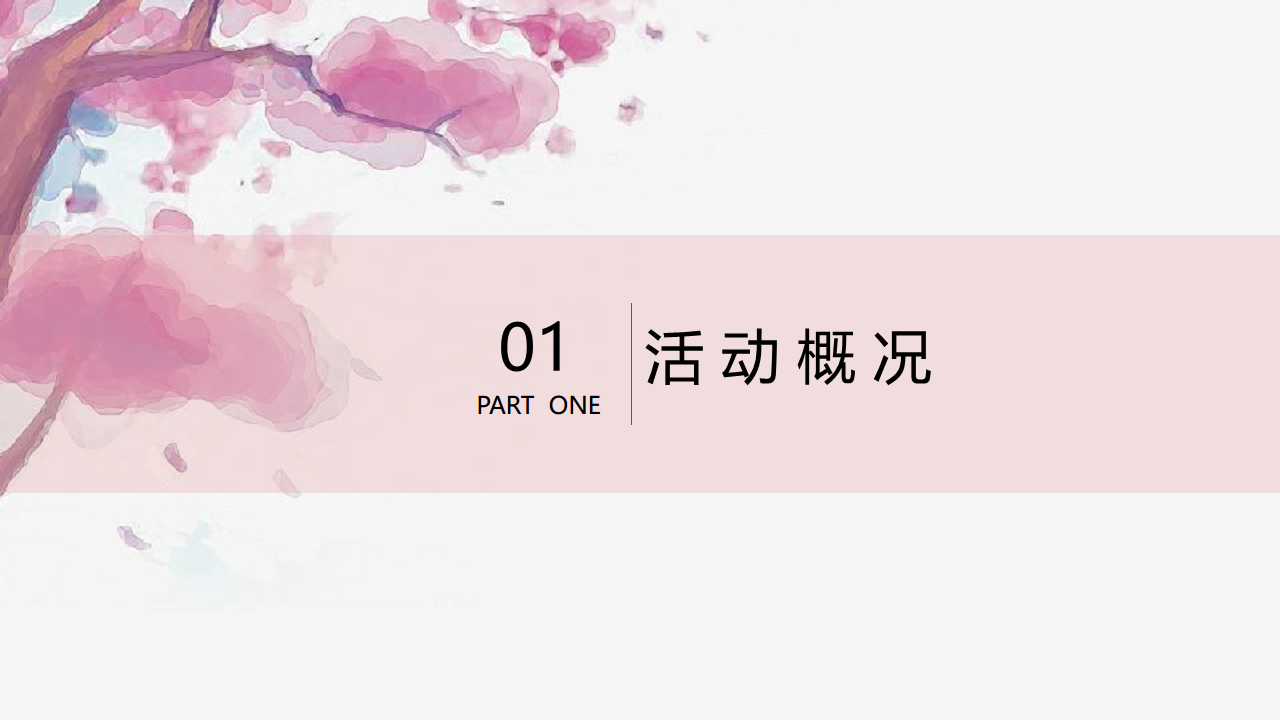 2019粉滑全城粉色主题水上嘉年华活动策划案【旅游】【活动策划】.pdf 第3页
