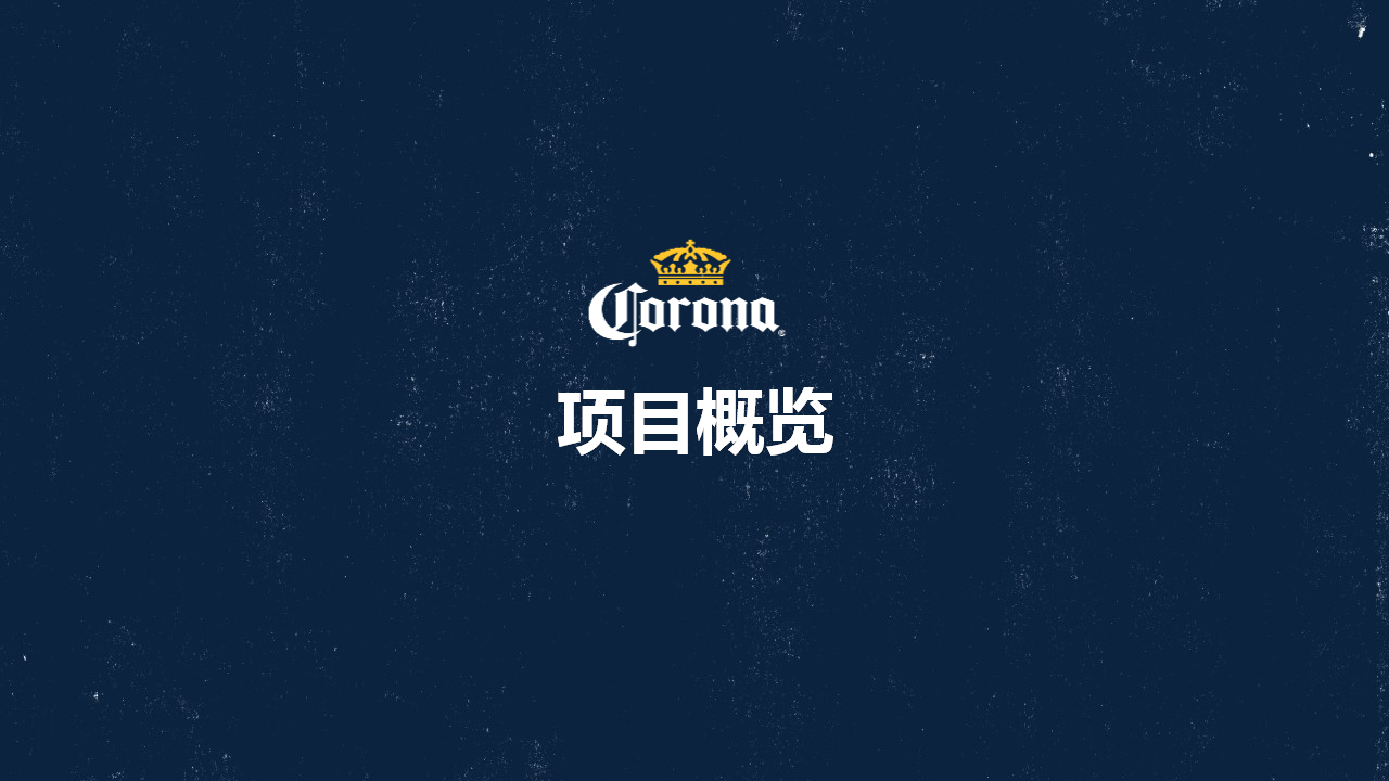 2018科罗娜青柠执行策划方案【快消品】.pptx 第3页