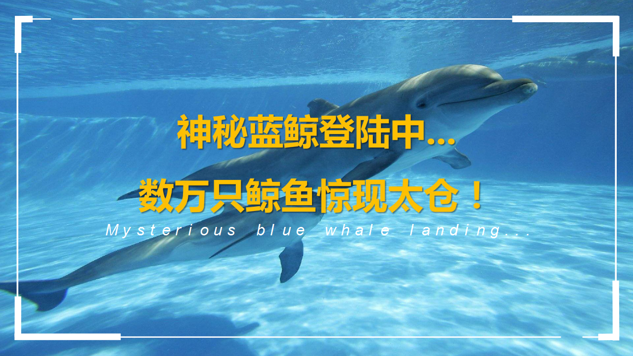 2017太仓花样年幸福万象样板房公开暨m3魔幻海洋馆活动-新空气【地产】【活动策划】.pptx 第3页