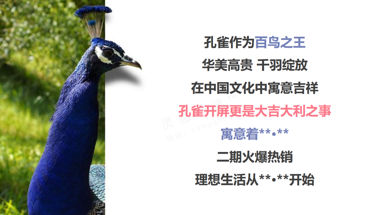 2017春季孔雀百鸟展策划案【旅游】【活动策划】.pdf 第3页