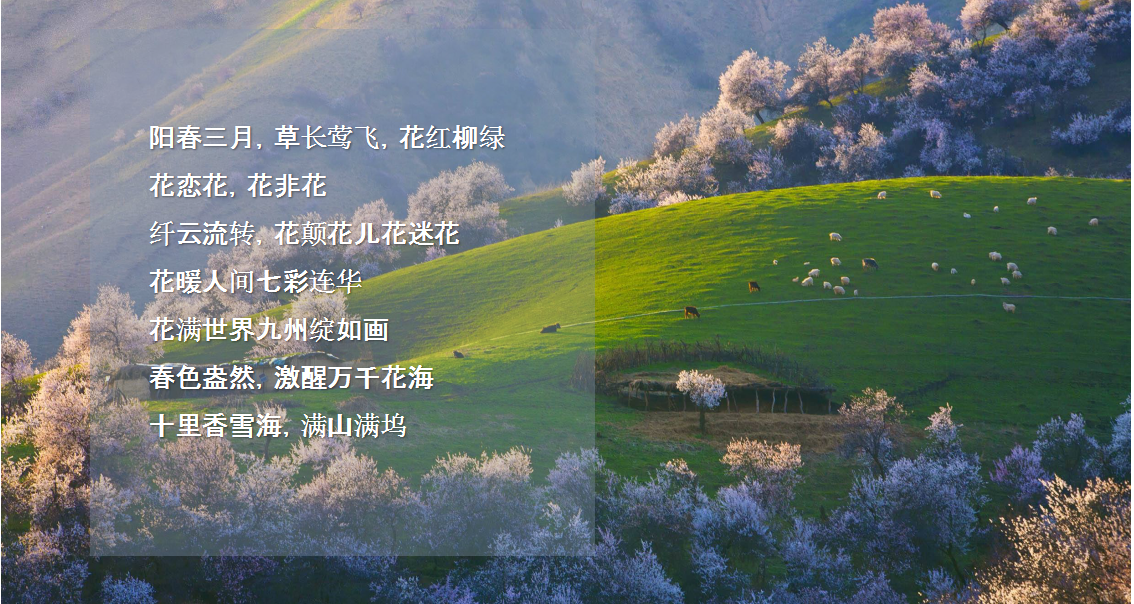 2019地产项目3月暖场&ldquo;花样生活踏春之旅&rdquo;活动策划方案【春季活动】.pptx 第2页