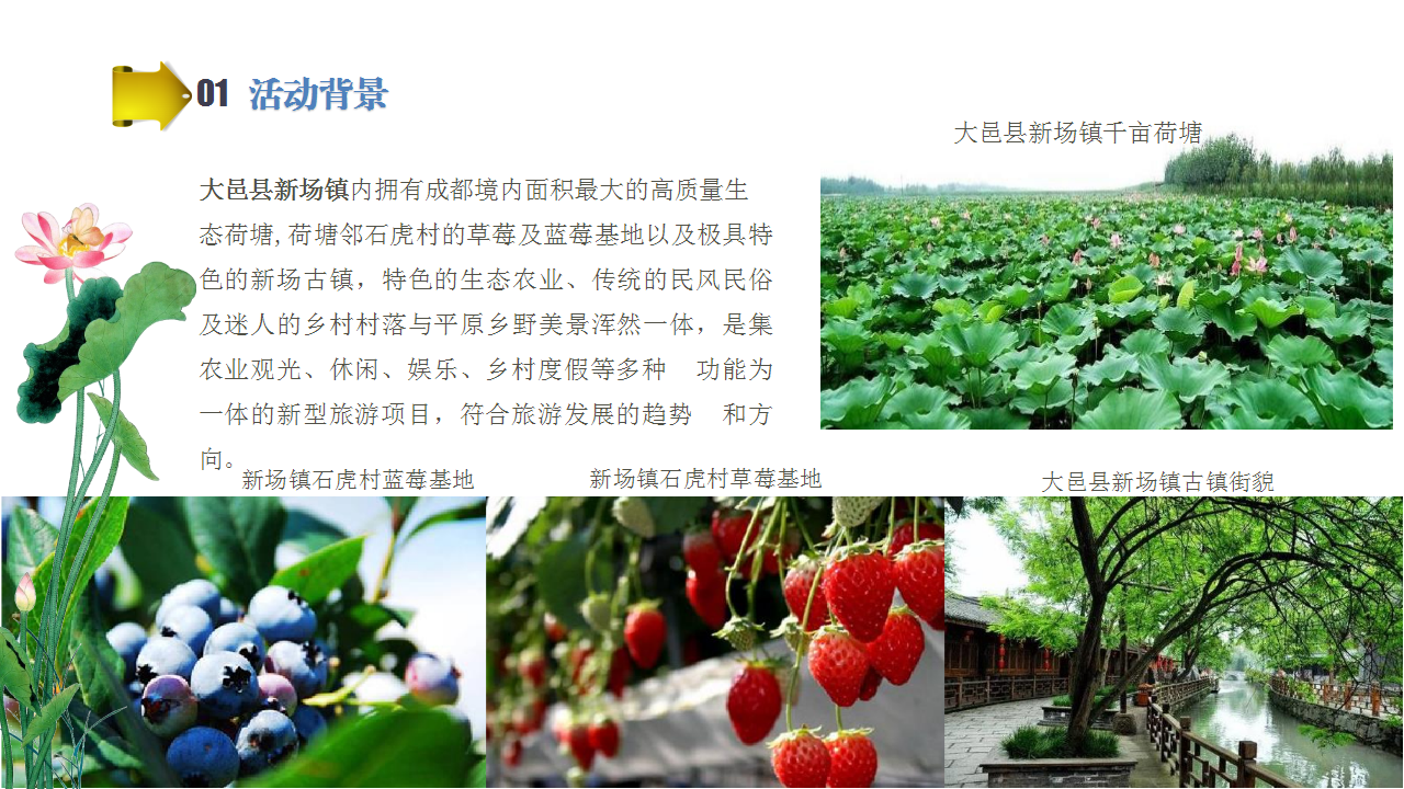 2017中国大邑县新场镇首届荷花旅游节活动方案【旅游】【节庆策划】.pptx 第3页