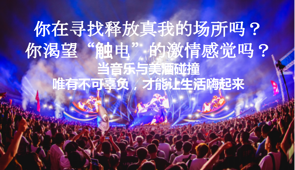 2017动力火车苏打酒电音派对策划案【快消品】【活动策划】.pptx 第2页