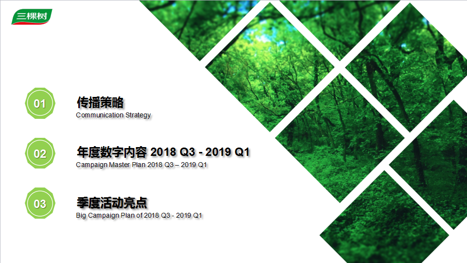 2018三棵树品牌公益活动执行方案【互联网】【品牌推广】.pptx 第2页
