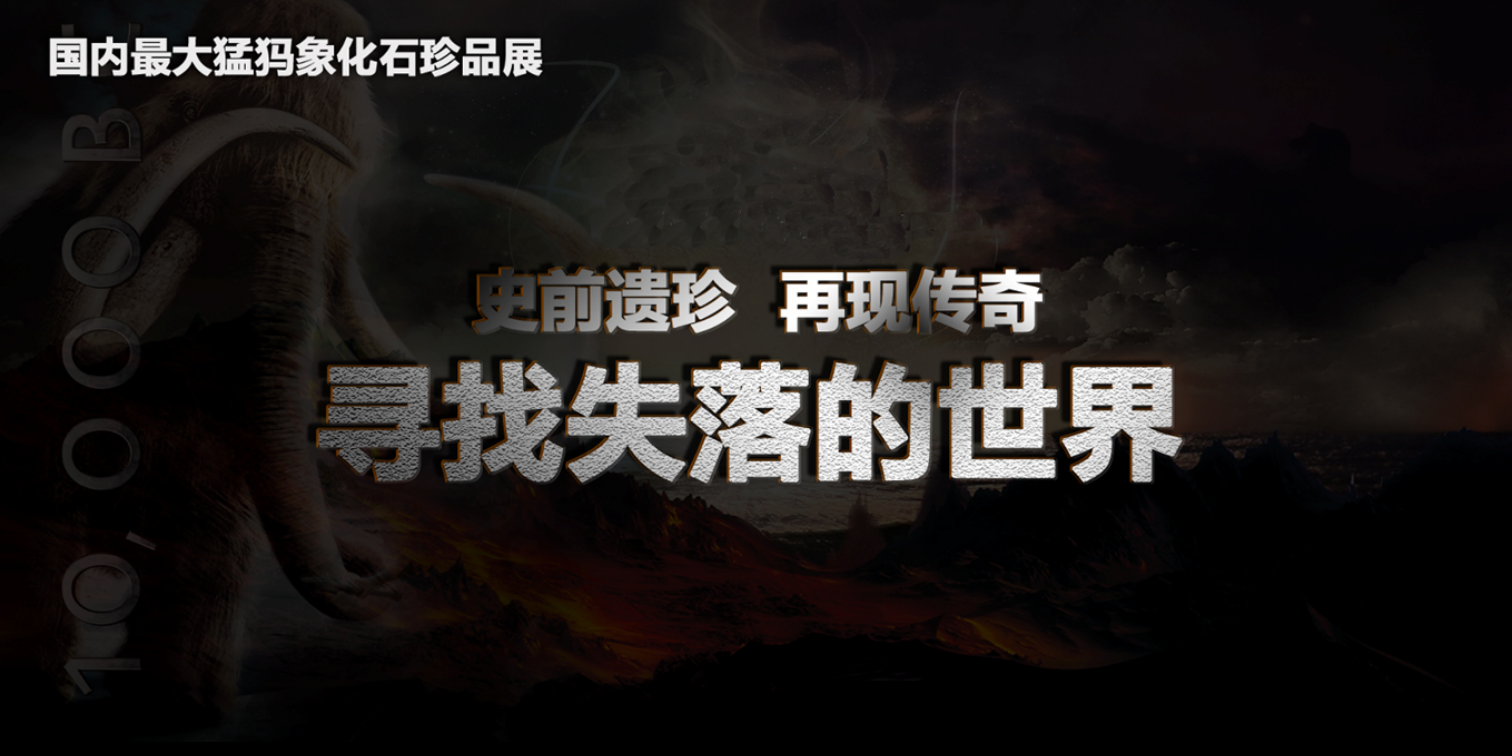 2017鼎峰尚境猛犸象执行方案【活动策划】.pptx 第2页