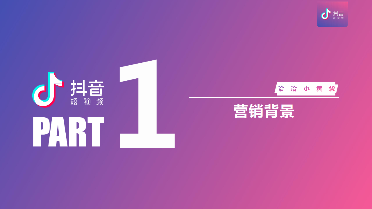 恰恰小黄袋抖音平台短视频营销方案【快消零售】【抖音营销】.pdf 第3页