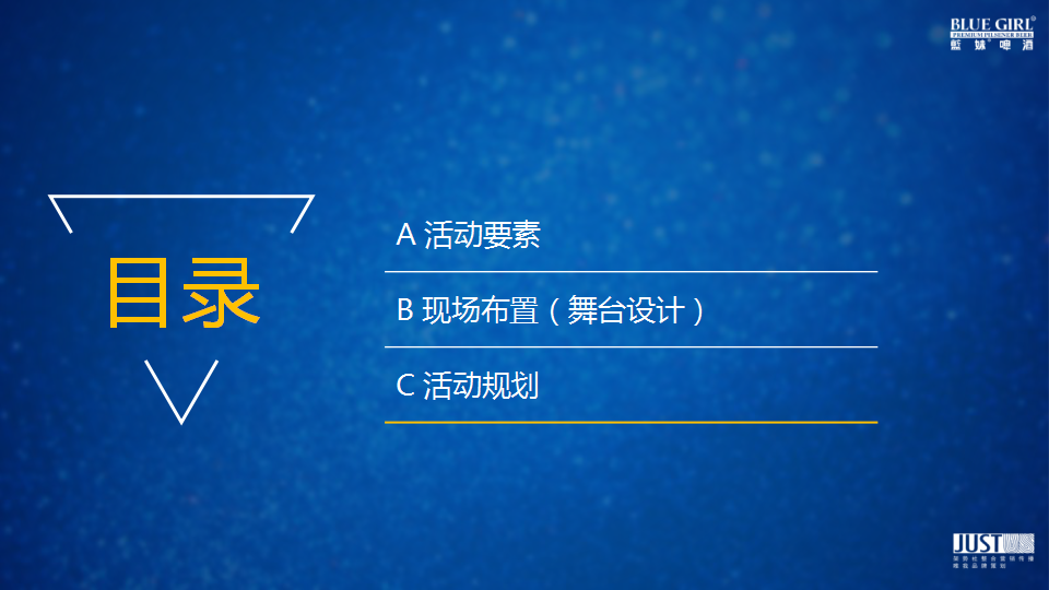 2017爱尚蓝妹演唱会创意规划方案【快消品】【创意营销】.pptx 第2页