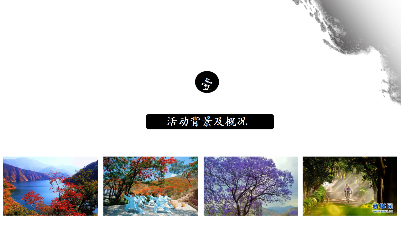 2017攀枝花市首届凤凰花节策划方案【旅游】【节庆策划】.pptx 第3页