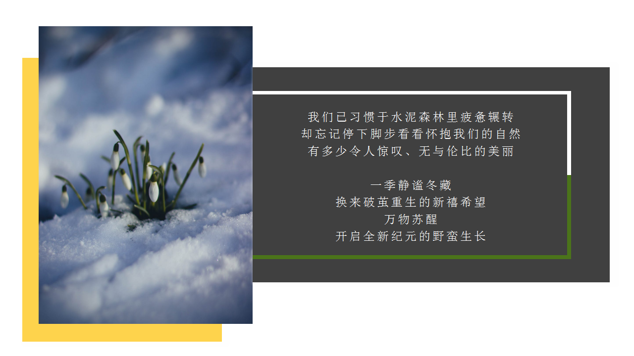 2019宁波天一国际购物中心春季美陈方案【商业地产】.pptx 第2页