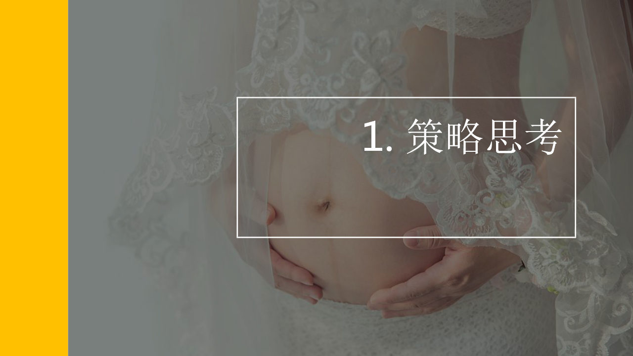 2018袋鼠妈妈天猫欢聚日营销策划方案【电商】【母婴】.pptx 第3页
