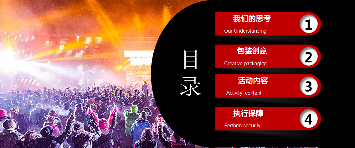 2017高淳万悦城高胜美演唱会策划方案【活动策划】.ppt 第2页