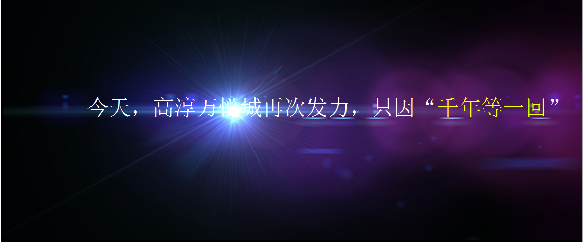 2017高淳万悦城高胜美演唱会策划方案【活动策划】.ppt 第3页