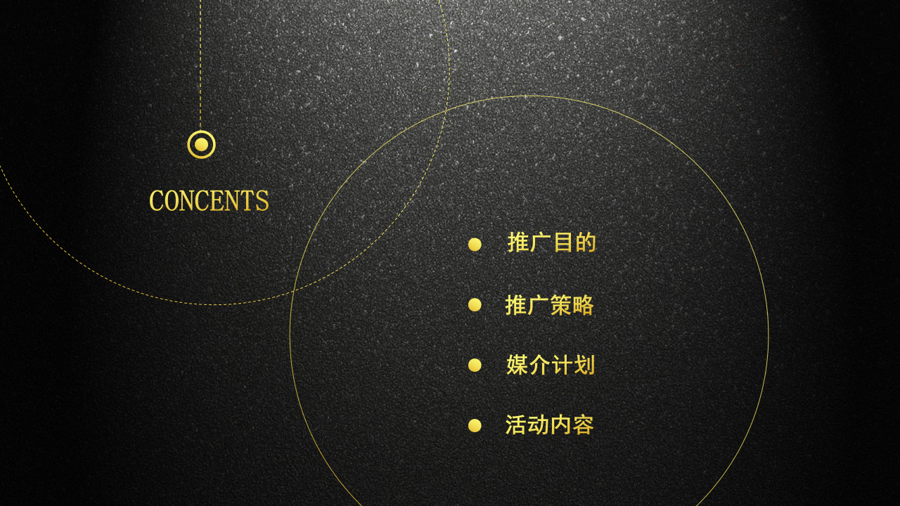2017呼我网约车绵阳试点推广策划案【汽车】【互联网】.pptx 第2页