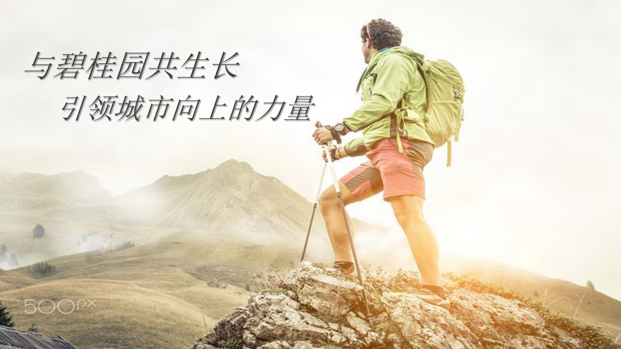 2017碧桂园登山节活动方案【地产】【活动策划】.pptx 第2页