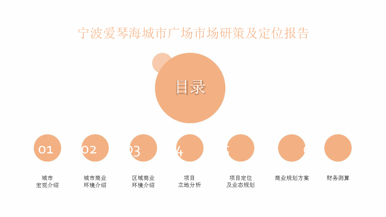 2017红星美凯龙-宁波爱琴海城市广场营销定位报告【家居】.pptx 第2页