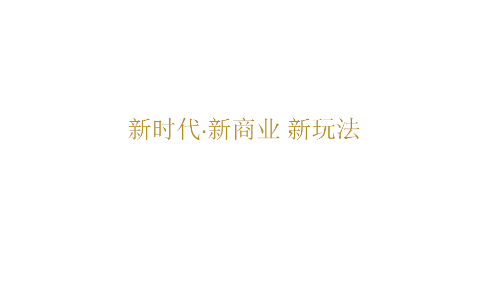 2017恒大欢乐PARK商业提案【地产】【活动策划】.pptx 第3页