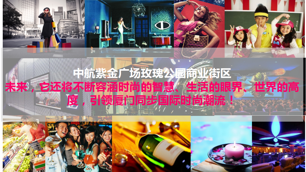 2017中航紫金广场玫瑰公园商业街区造势活动提案【商业地产】【活动策划】.ppt 第2页