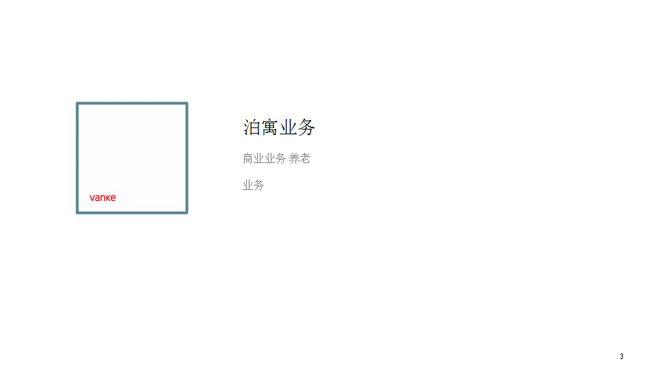 2017广州南沙南涌口万科泊寓新业务策划方案【地产】.pptx 第3页