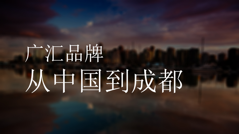 2017广汇品牌网络推广方案【汽车】【品牌推广】.pptx 第2页