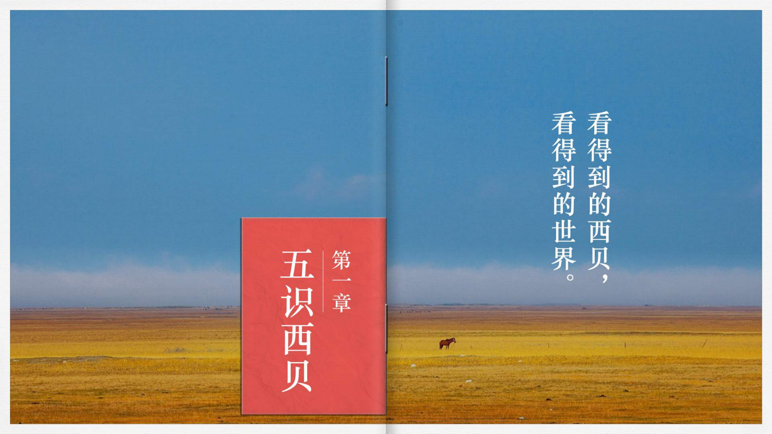 西贝品牌策略破题沟通案-品牌战略【快消品】.pdf 第2页