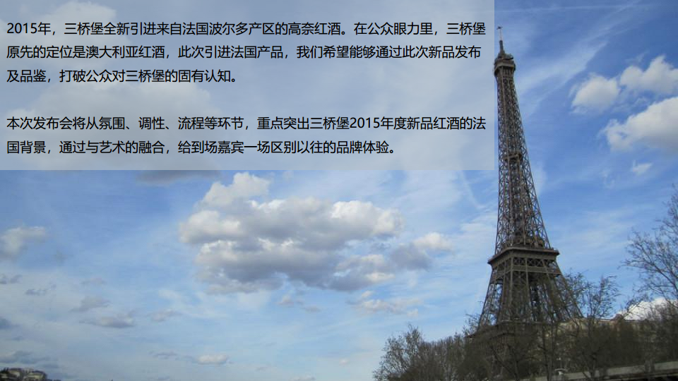 2017三桥堡法国高奈新品发布暨品鉴会策划案【快消品】【发布会】.pdf 第2页