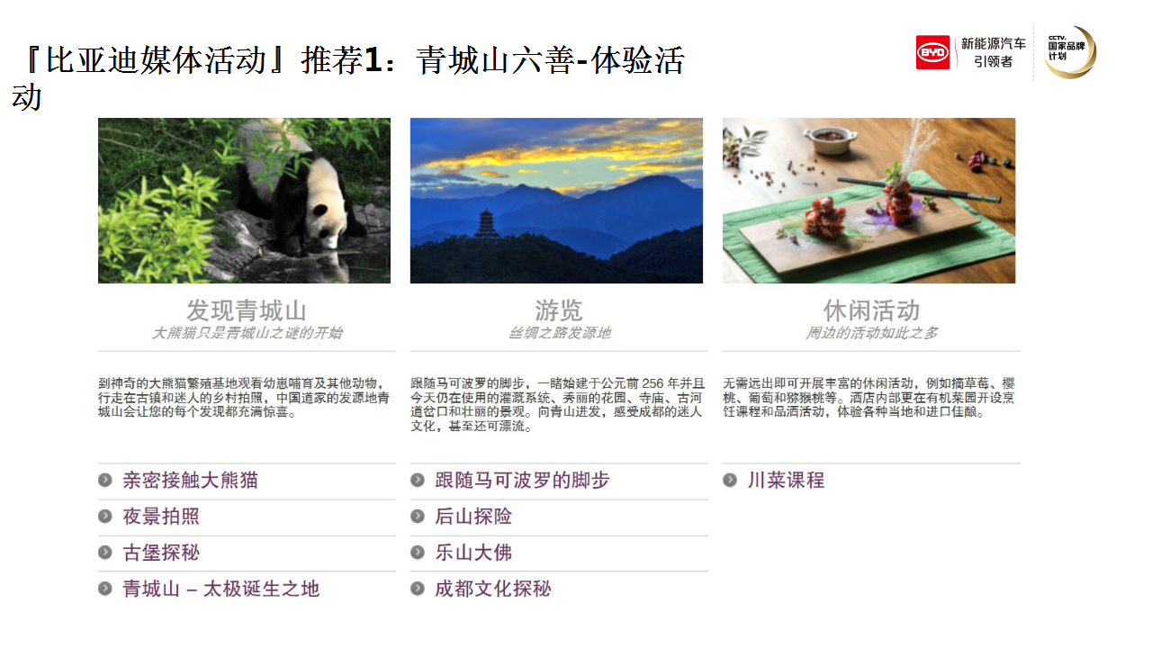 2017比亚迪媒体活动执行方案-蓝色光标【汽车】【活动策划】.pptx 第3页