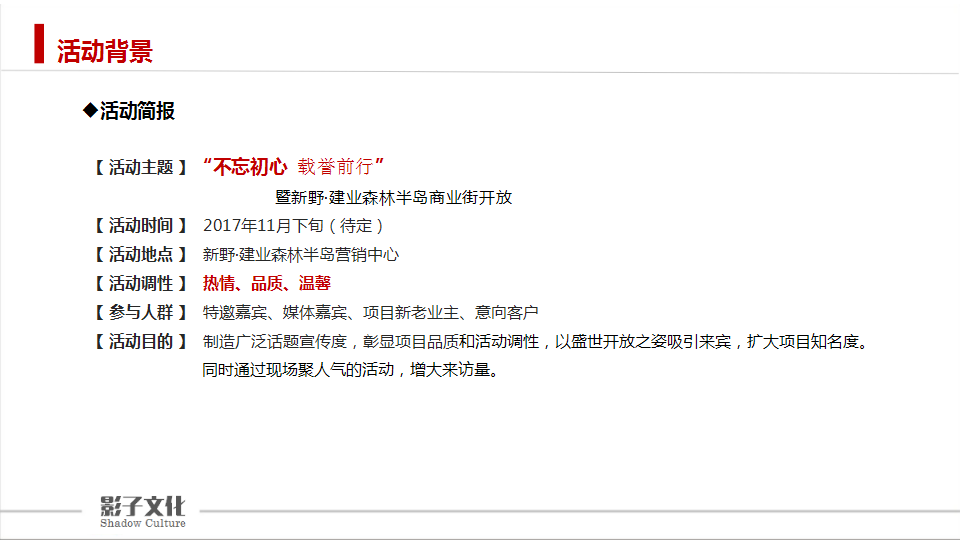 2017新野森林半岛商业街开放活动方案【开放活动】【地产】.pptx 第3页